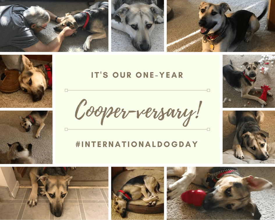 Happy birthday, Cooper!